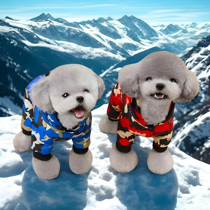 Deux caniches dans les montagnes enneigées portent un manteau pour chien 
