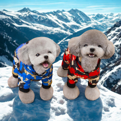 manteau chien deux caniche avec manteau camouflage montagne arriere neige