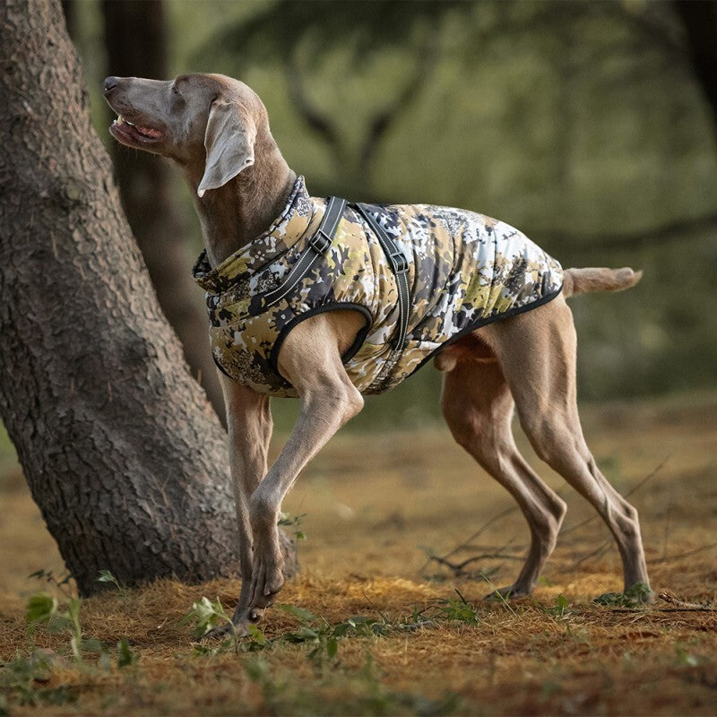 manteau chien grand chien bois manteau camouflage