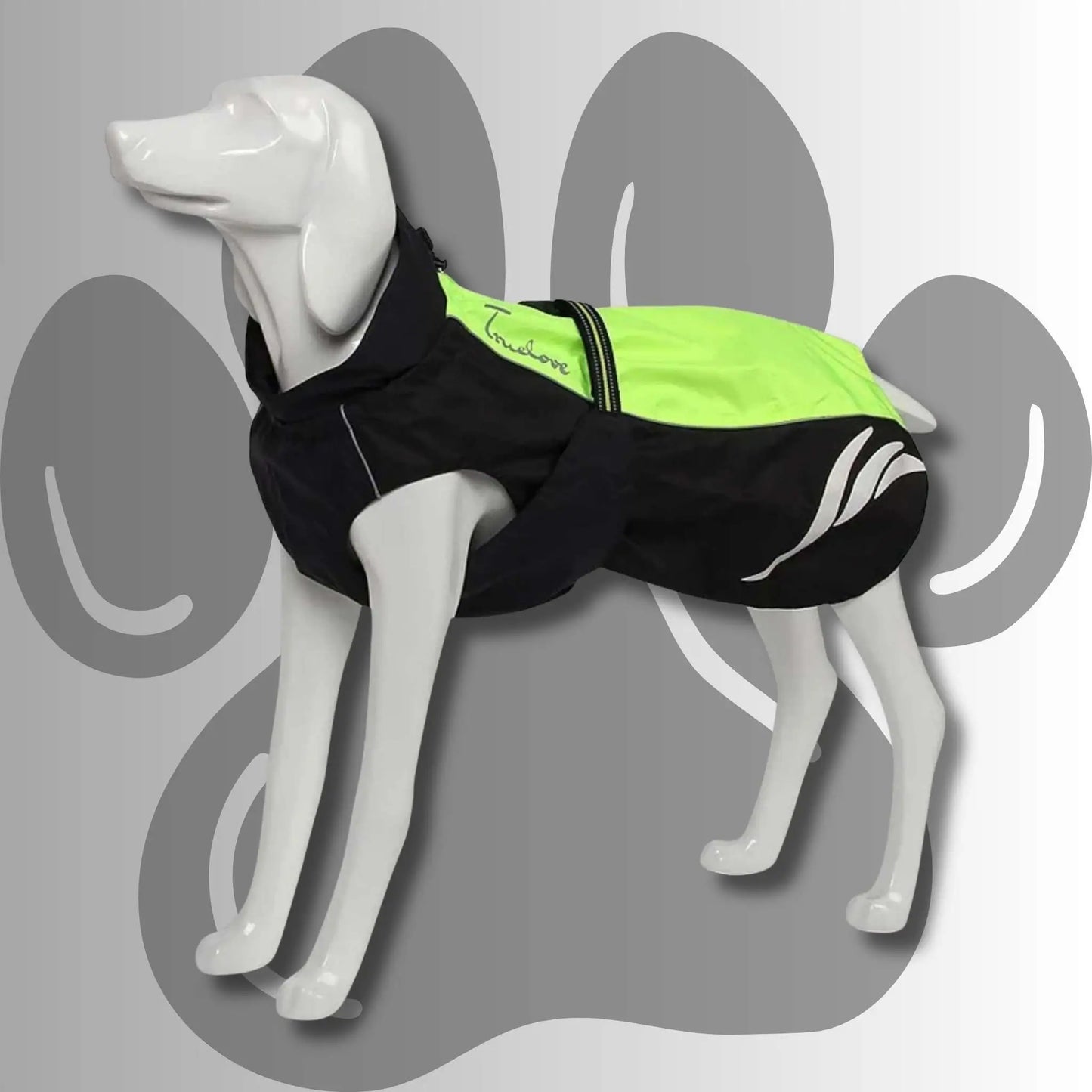 Un manteau pour chien imperméable vert.