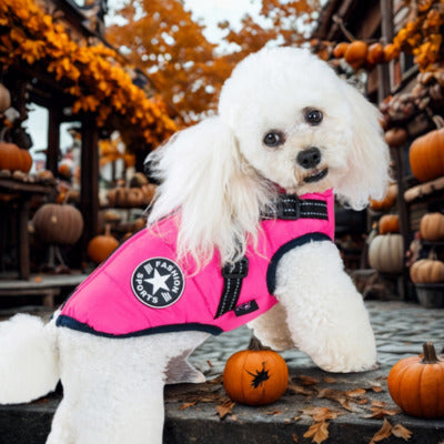 manteau chien rose caniche citrouille automne