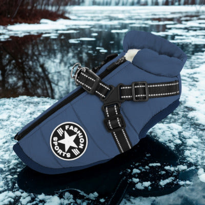 manteau pour chien bleu glace hivers