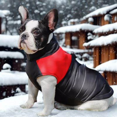 manteau pour chien bouledogue francais couleur rouge noir