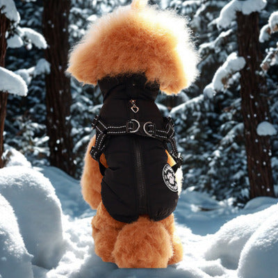 manteau pour chien caniche assis dos neige manteau noir