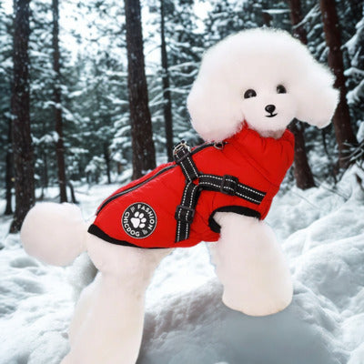 manteau pour chien caniche debout-neige manteau rouge