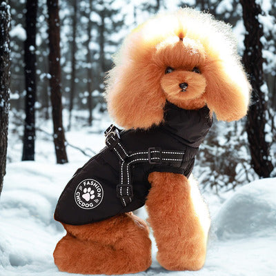 manteau pour chien caniche manteau noir paysage hiver