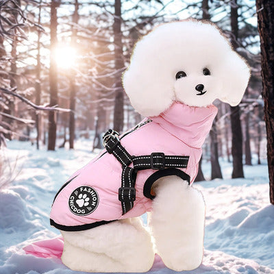 manteau pour chien caniche manteau-rose hivers