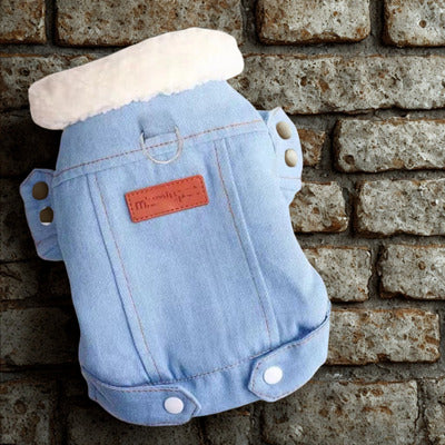 manteau pour chien couleur bleu pale fond brique