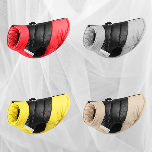 manteau pour chien couleur gris rouge beige jaune