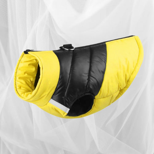 manteau pour chien couleur jaune noir