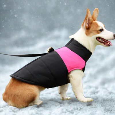 manteau pour chien hivers couleur rose noir petit chien