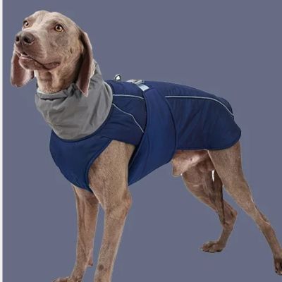 manteau pour chien impermeable bleu