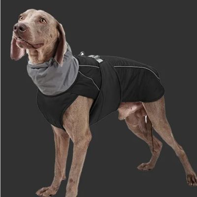 manteau pour chien impermeable couleur noir