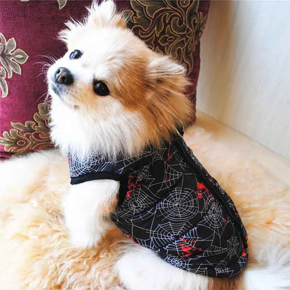manteau pour chien model toille araigne