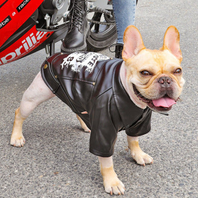 manteau pour chien noir bouledogue francais moto