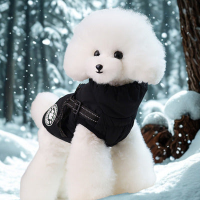 manteau pour chien noir caniche avec manteau hivers