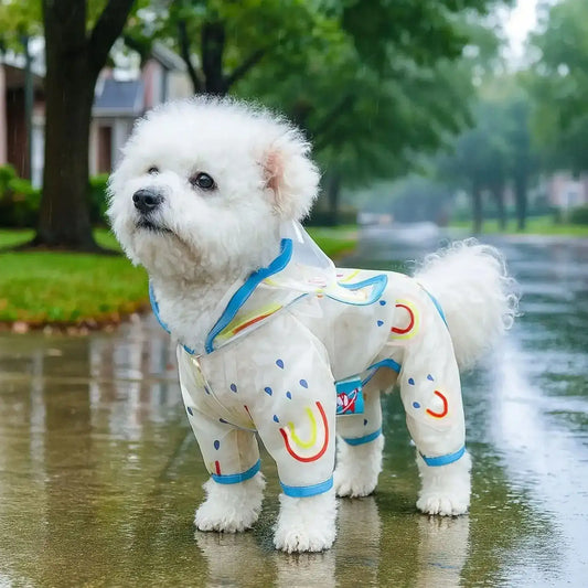 Un bichon frisé sur la rue un jour de pluie porte le manteau pour chien de pluie bleu.