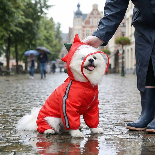 Un spitz japonais assis sous la pluie avec son maître porte le manteau pour chien de pluie design dinosaure rouge.