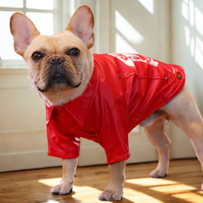manteau pour chien rouge bouledogue francais