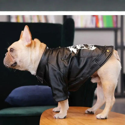Vue latérale d'un bouledogue français debout sur une table vêtu d'un manteau pour chien noir.