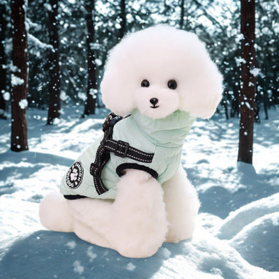 manteau pour chien turquoise caniche assis neige