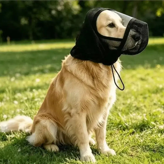 Un golden retriever assis sur une pelouse avec un masque anti-moustique pour chien noir.