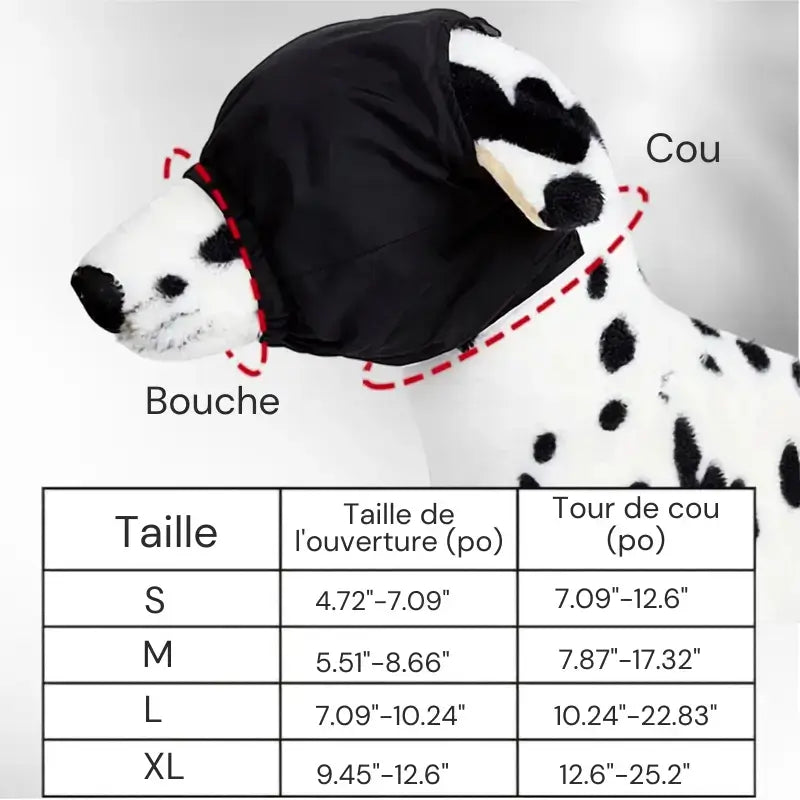 Un dalmatien avec le tableau des tailles du masque pour chien.