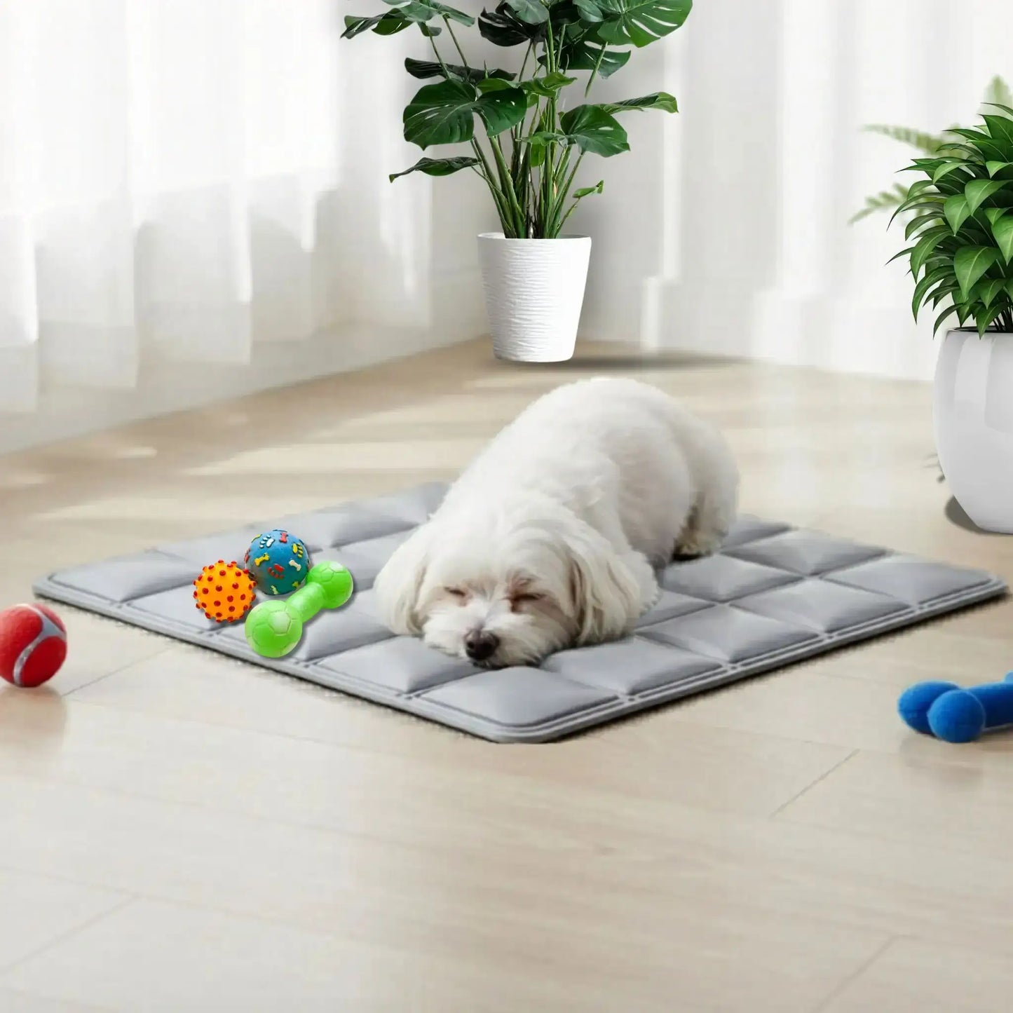 Un shih tzu dans un salon allongé sur un matelas rafraichissant pour chien gris avec des jouets.
