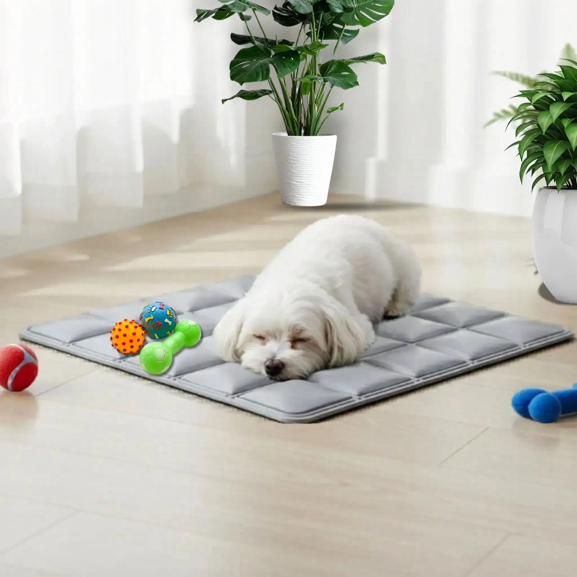 Un shih tzu dans un salon allongé sur un matelas rafraichissant pour chien gris avec des jouets.