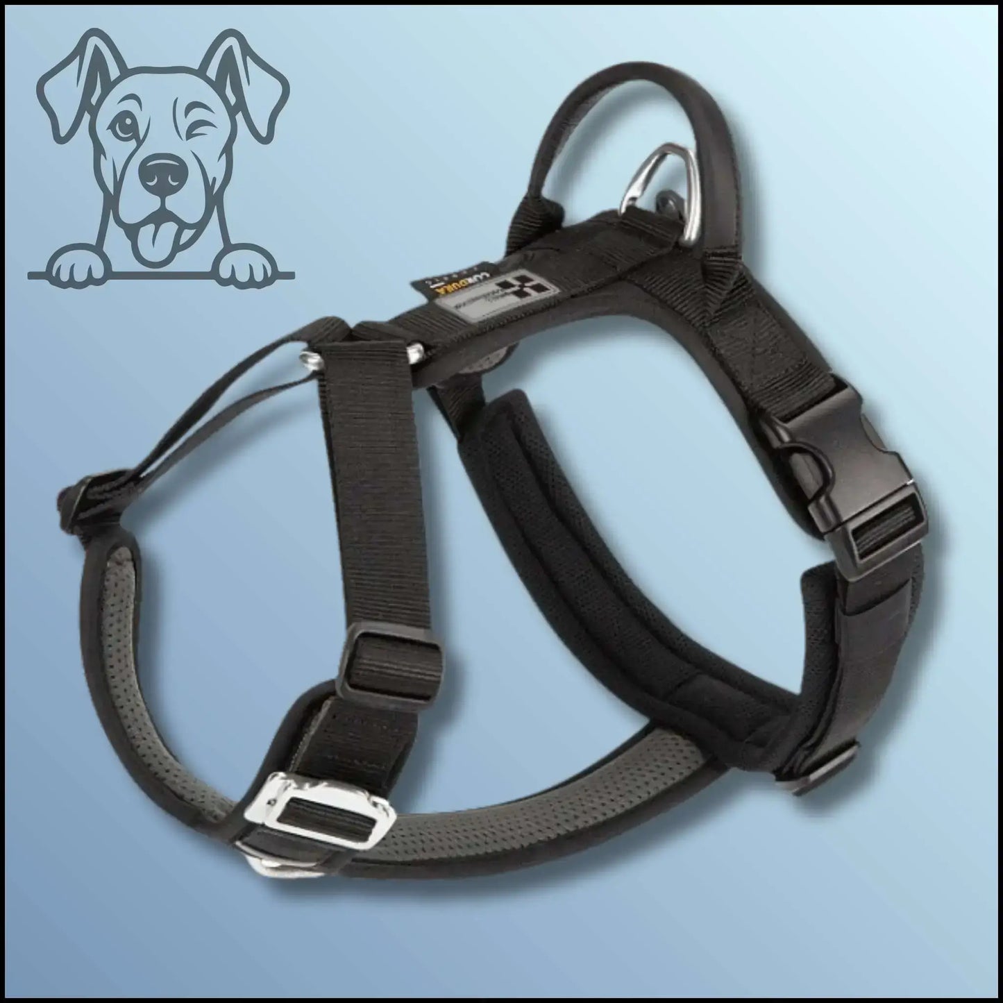 Le meilleur harnais pour chien de couleur noire.
