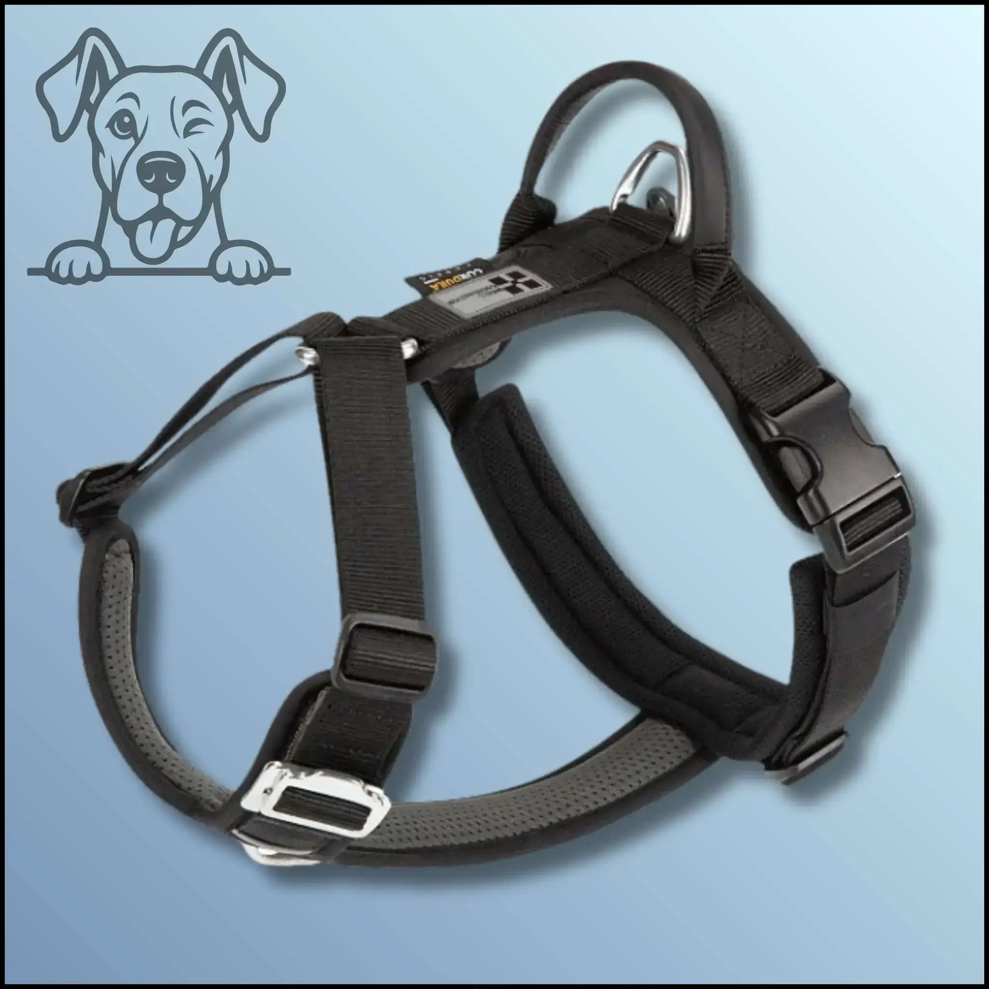 Le meilleur harnais pour chien de couleur noire.