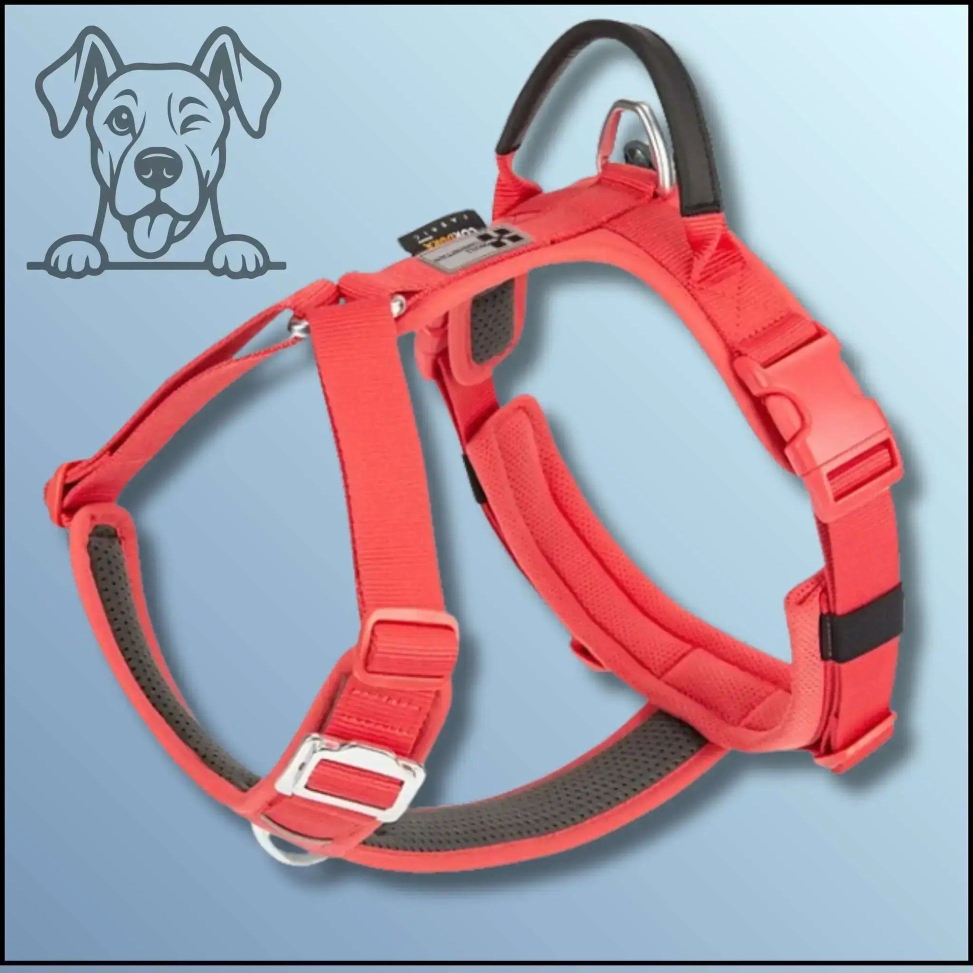 Le meilleur harnais pour chien de couleur rouge.