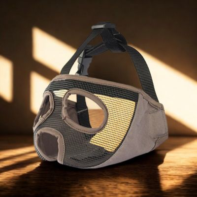 museliere bouledogue francais couleur brun trou yeux