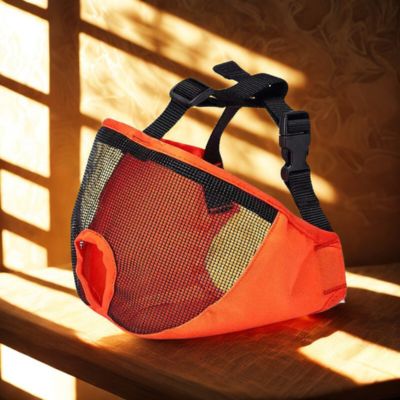 museliere bouledogue francais couleur orange une piece