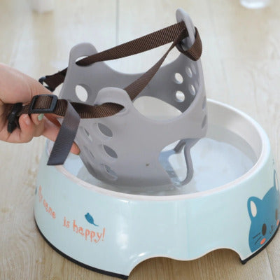 museliere bouledogue francais peut boire eau demonstration