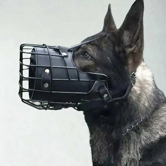 Vue latérale d'un berger allemand avec une muselière-cage de couleur noire.