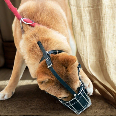 museliere cage pas facile enlever