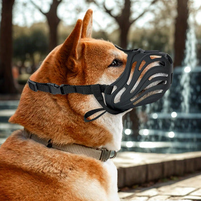 museliere chien akita parc fontaine avec museliere