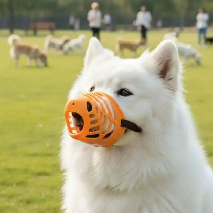 Un husky blanc dans un parc à chiens qui porte une muselière pour chien anti morsure orange.