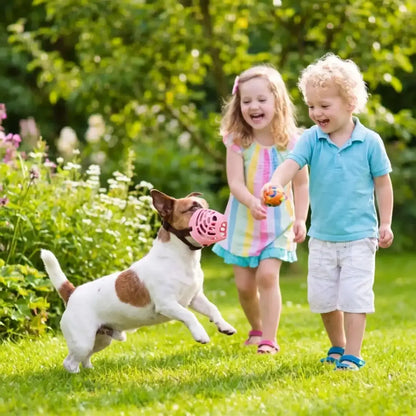 Un jack russell joue avec des enfants et porte la muselière pour chien anti morsure.