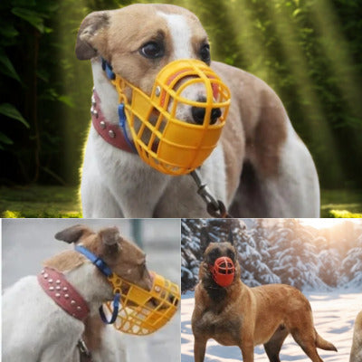 museliere chien avec museliere decor hivernal