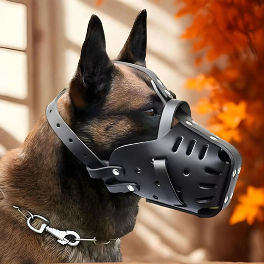 Un berger allemand dans un décor d'automne porte une muselière pour chien.