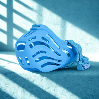 museliere chien couleu bleu silicones