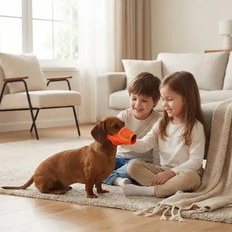 Un teckel avec des enfants dans un salon porte une muselière pour chien orange.