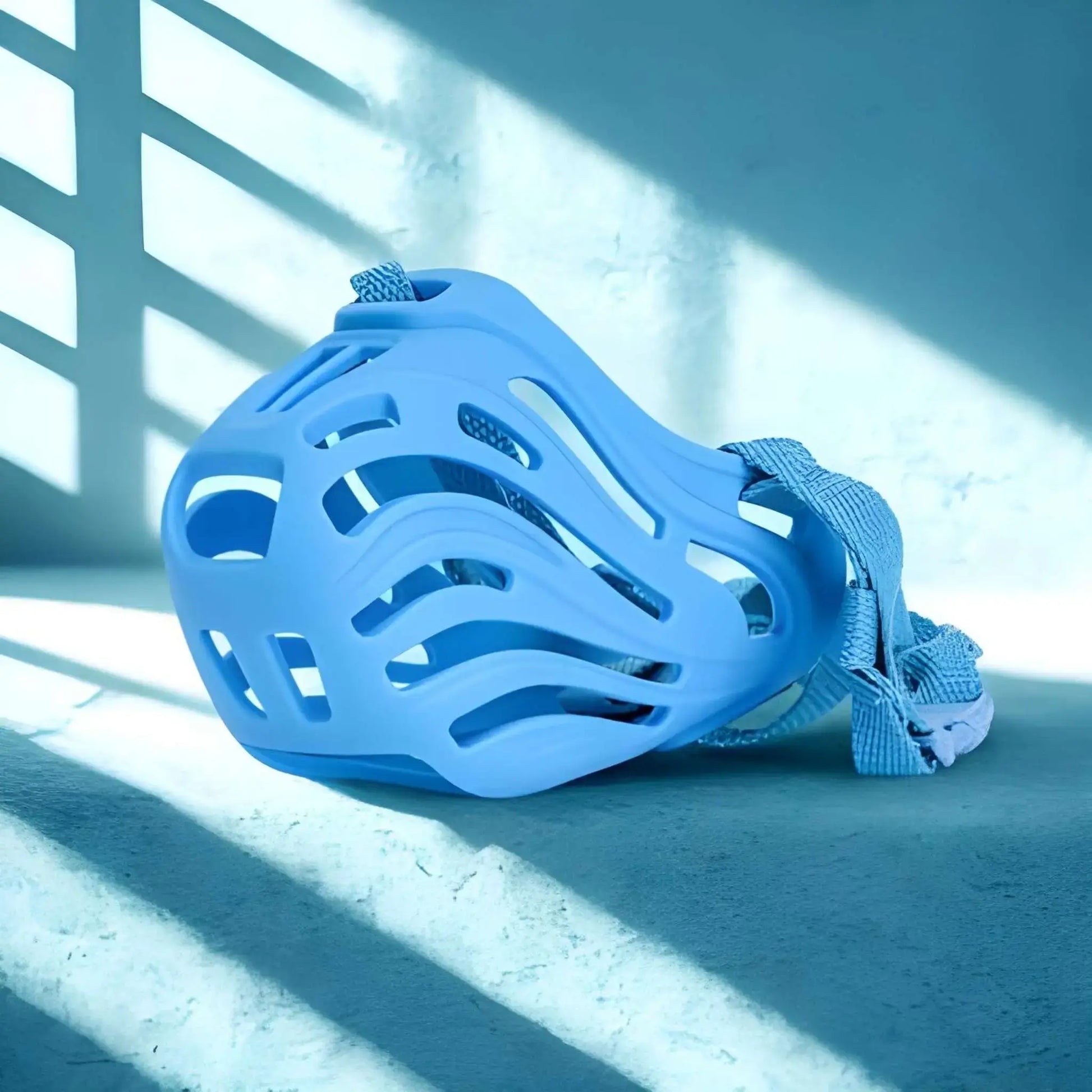 Une muselière de couleur bleue au sol.