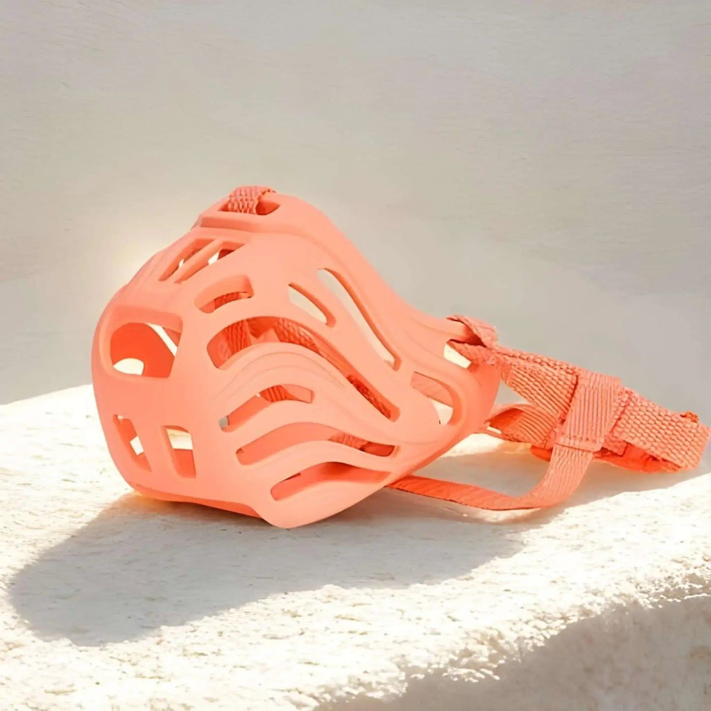 Une muselière de couleur orange sur un corail.