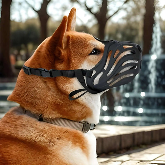 Vue latérale d'un shiba inu dans un parc avec une muselière pour chien noire.