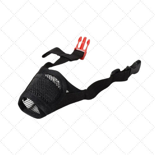 museliere chien noir