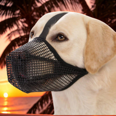 museliere noir labrador