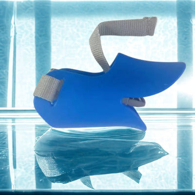 museliere petit chien couleur bleu silicone